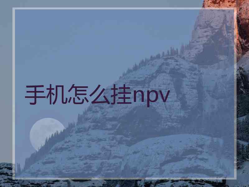 手机怎么挂npv