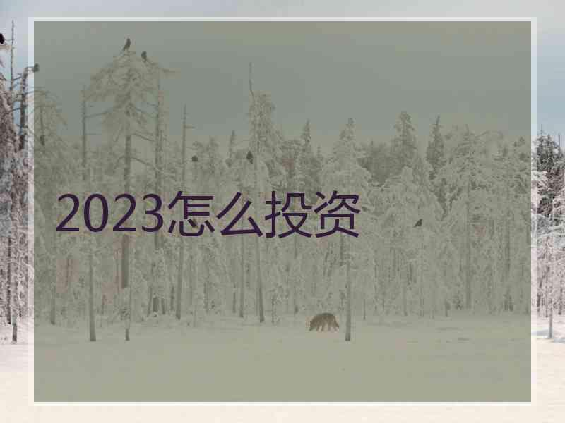 2023怎么投资