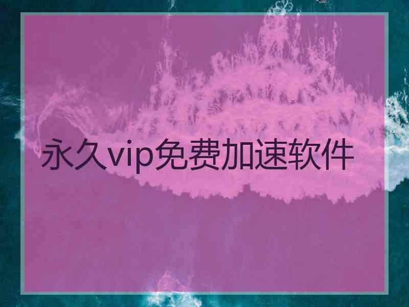 永久vip免费加速软件