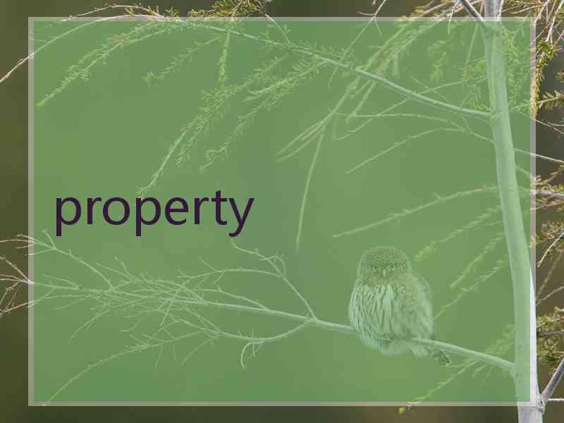 property