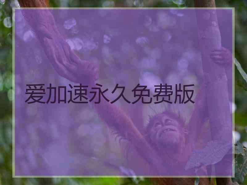 爱加速永久免费版