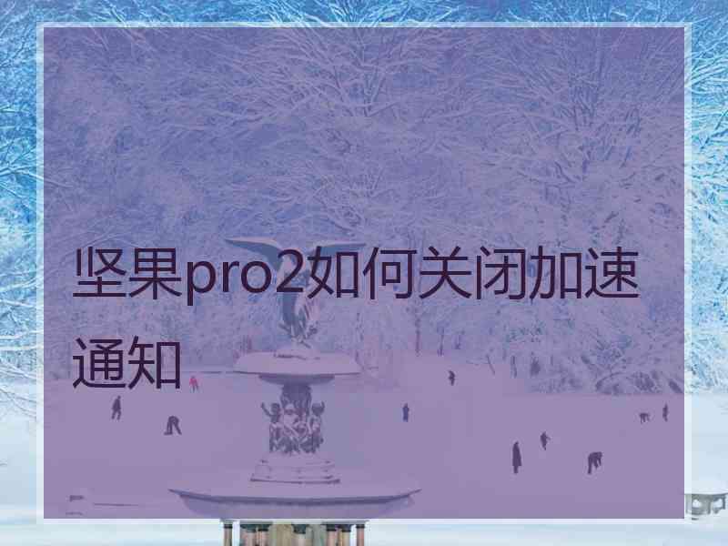 坚果pro2如何关闭加速通知