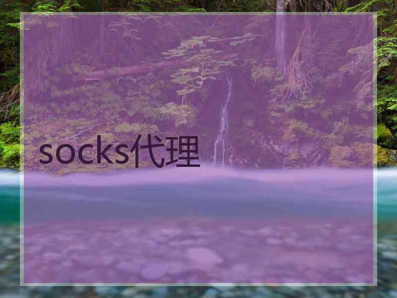 socks代理