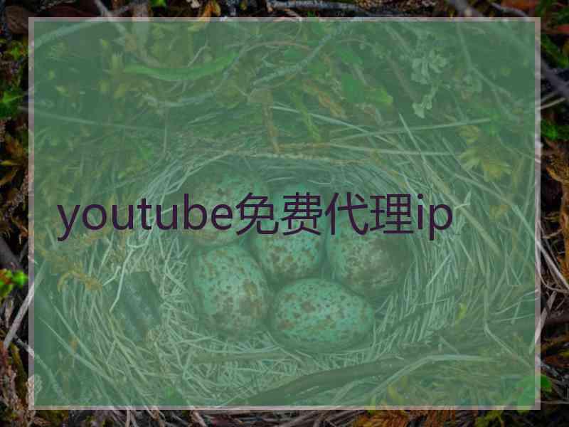 youtube免费代理ip