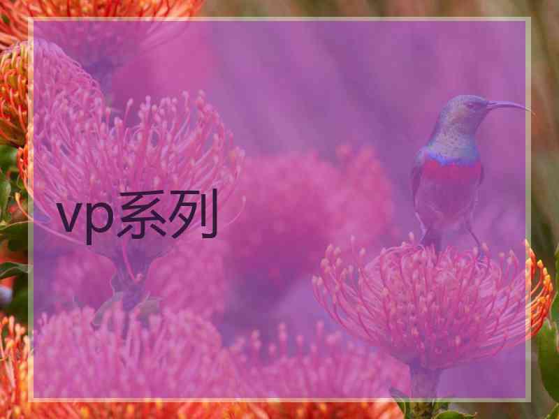 vp系列