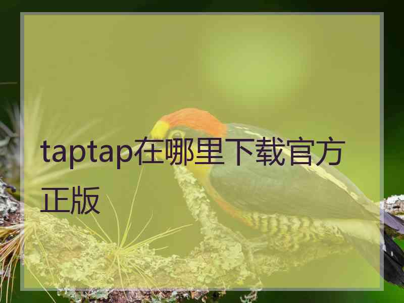 taptap在哪里下载官方正版