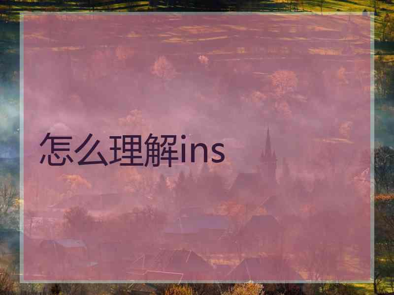 怎么理解ins