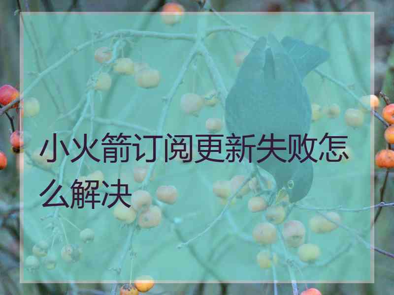 小火箭订阅更新失败怎么解决