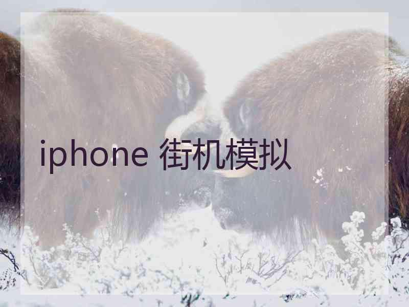 iphone 街机模拟