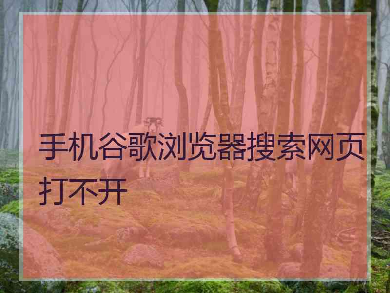 手机谷歌浏览器搜索网页打不开