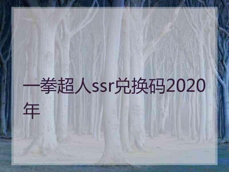 一拳超人ssr兑换码2020年