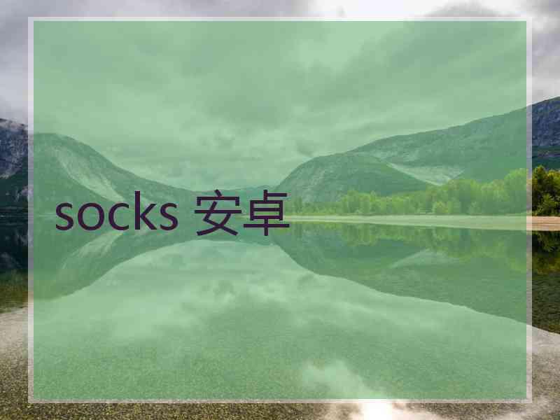 socks 安卓