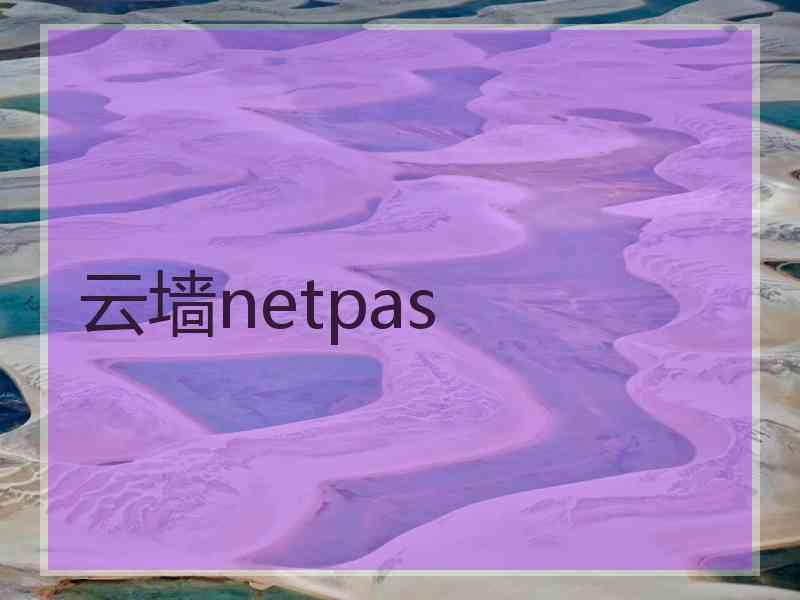 云墙netpas