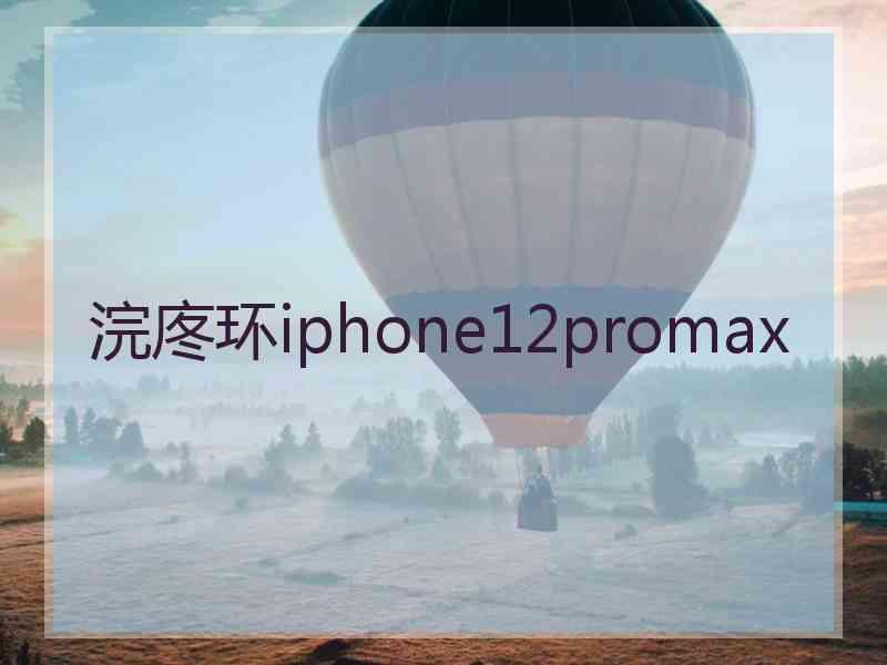 浣庝环iphone12promax