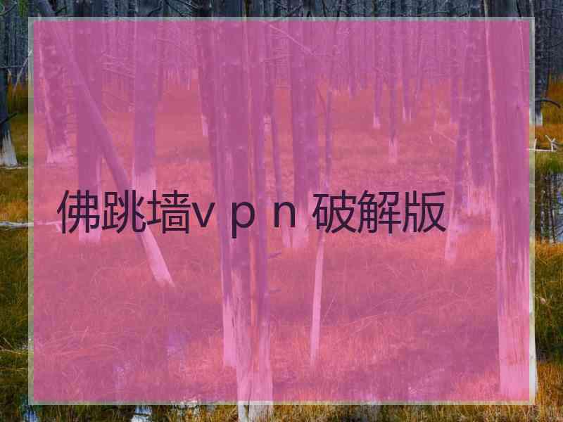 佛跳墙v p n 破解版