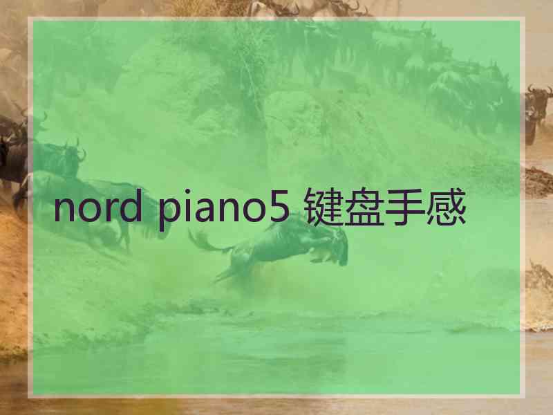 nord piano5 键盘手感