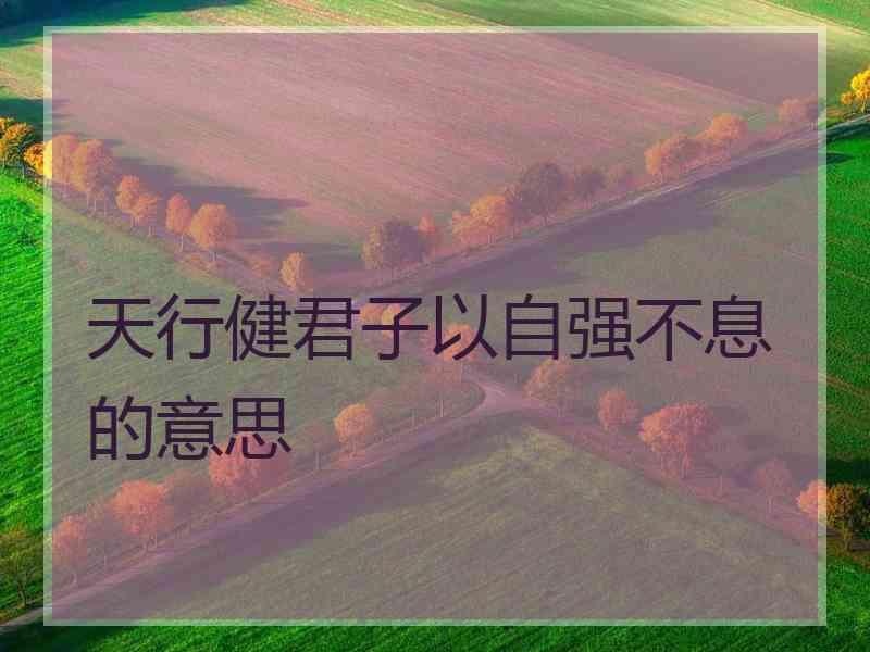 天行健君子以自强不息的意思