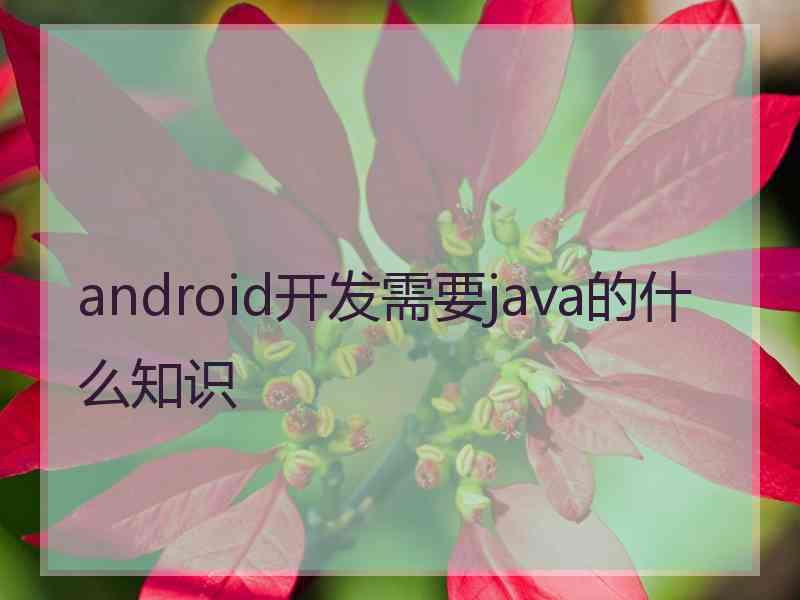 android开发需要java的什么知识