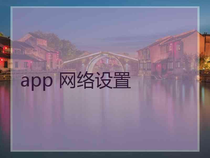 app 网络设置