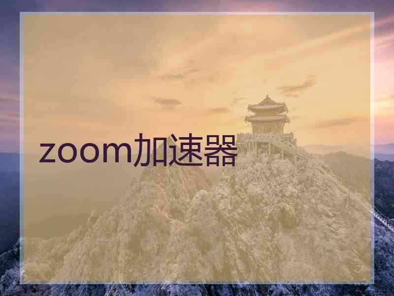 zoom加速器