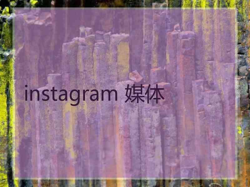 instagram 媒体