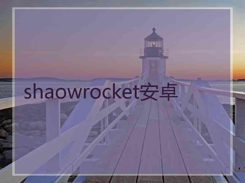 shaowrocket安卓