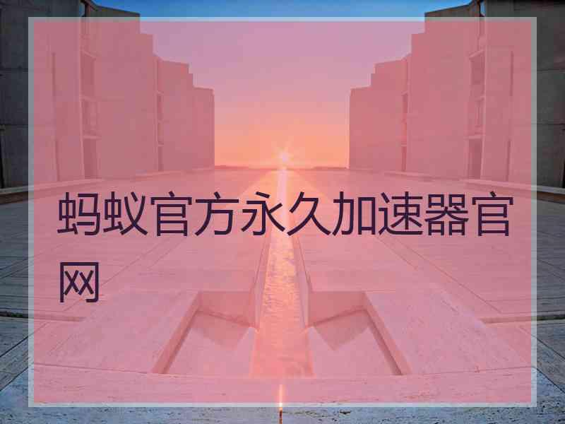 蚂蚁官方永久加速器官网