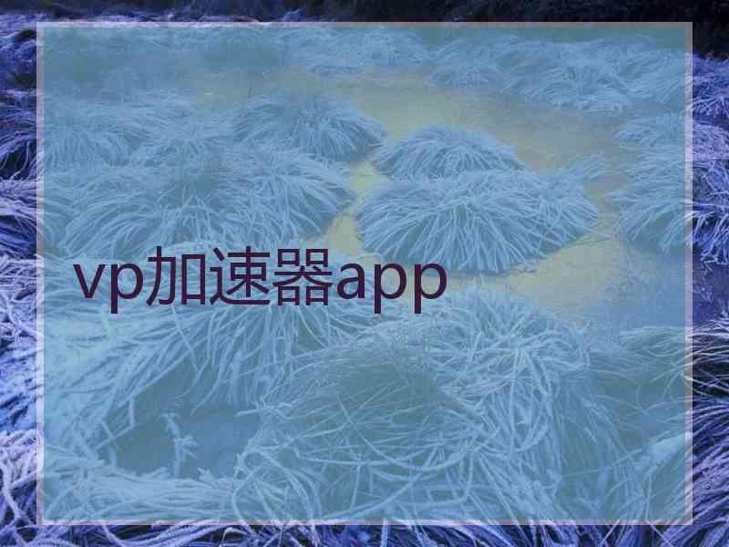 vp加速器app