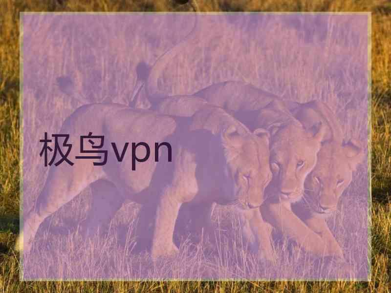 极鸟vpn