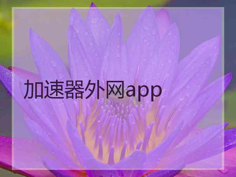 加速器外网app