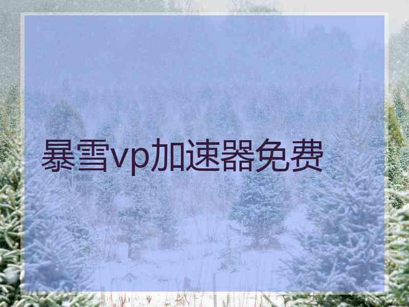 暴雪vp加速器免费