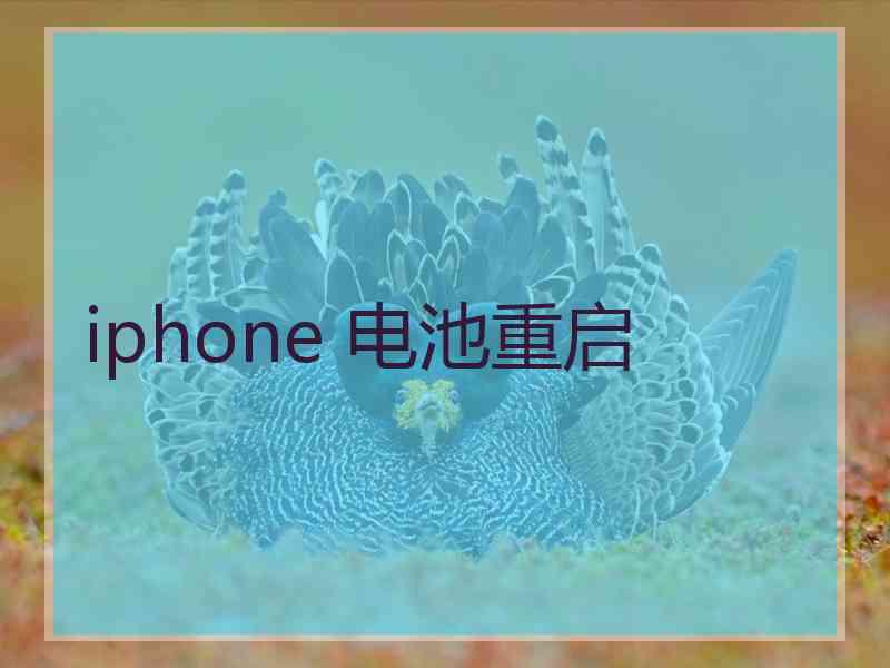 iphone 电池重启