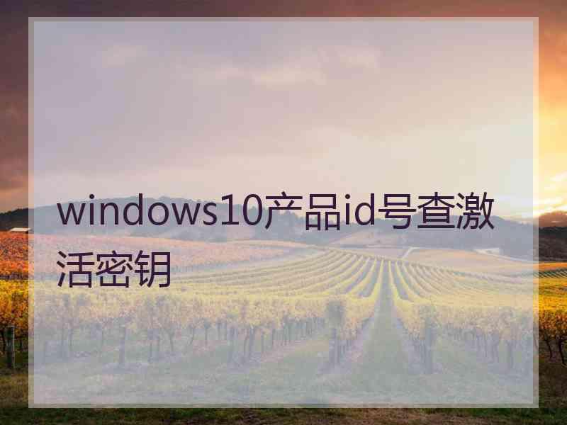 windows10产品id号查激活密钥