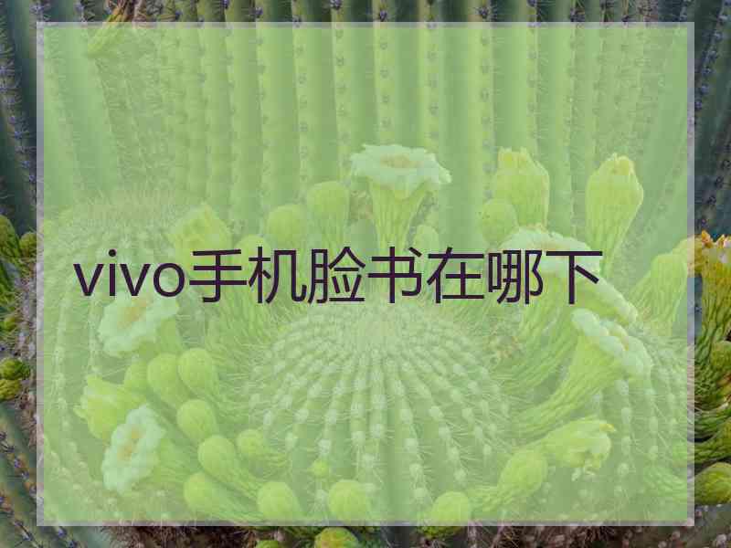 vivo手机脸书在哪下