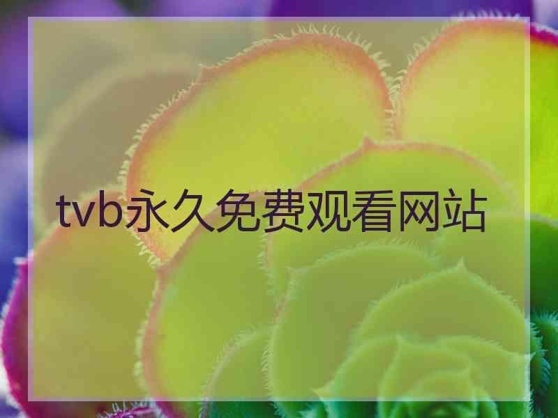 tvb永久免费观看网站