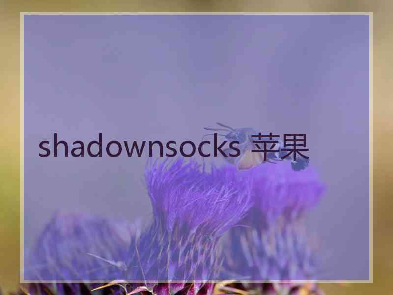 shadownsocks 苹果