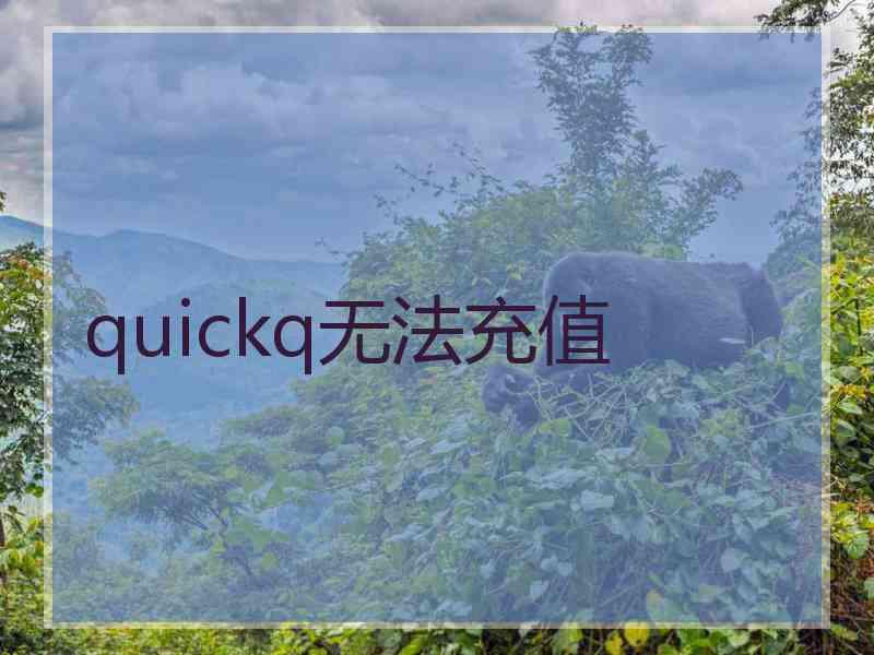 quickq无法充值