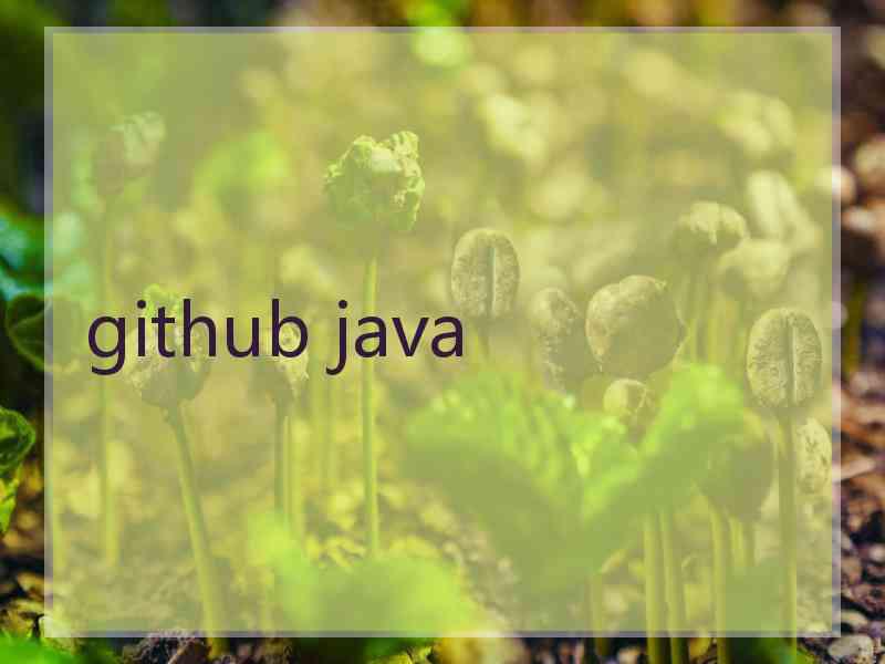 github java