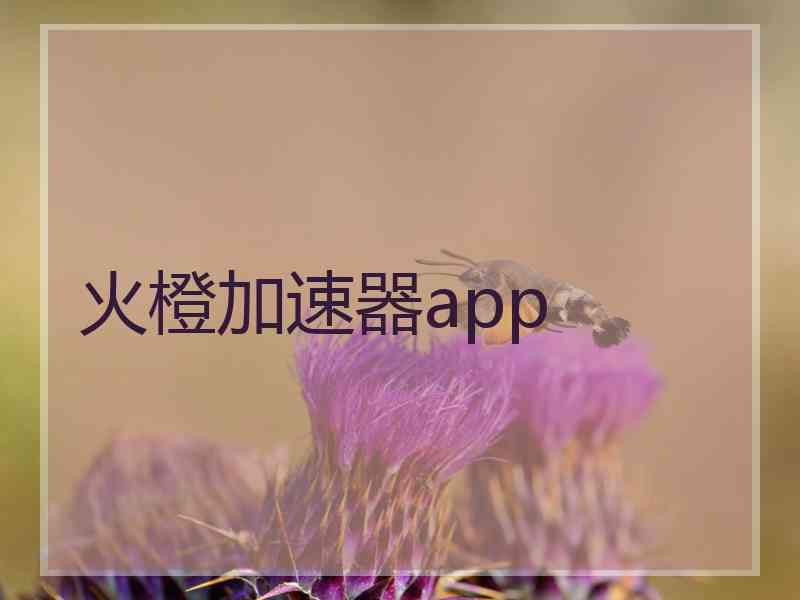 火橙加速器app