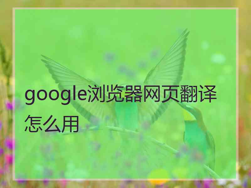 google浏览器网页翻译怎么用