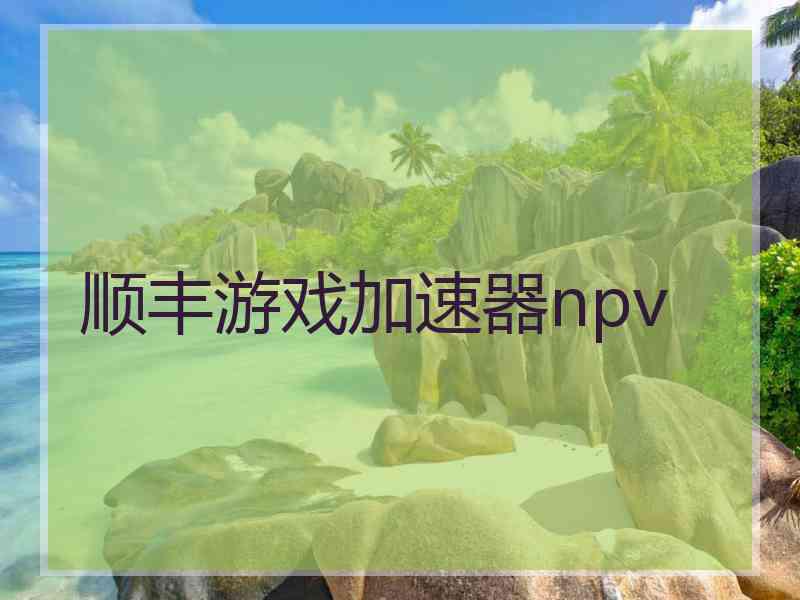 顺丰游戏加速器npv