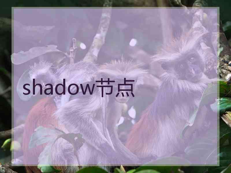 shadow节点