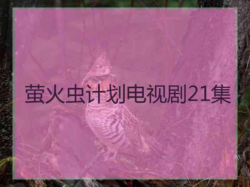 萤火虫计划电视剧21集