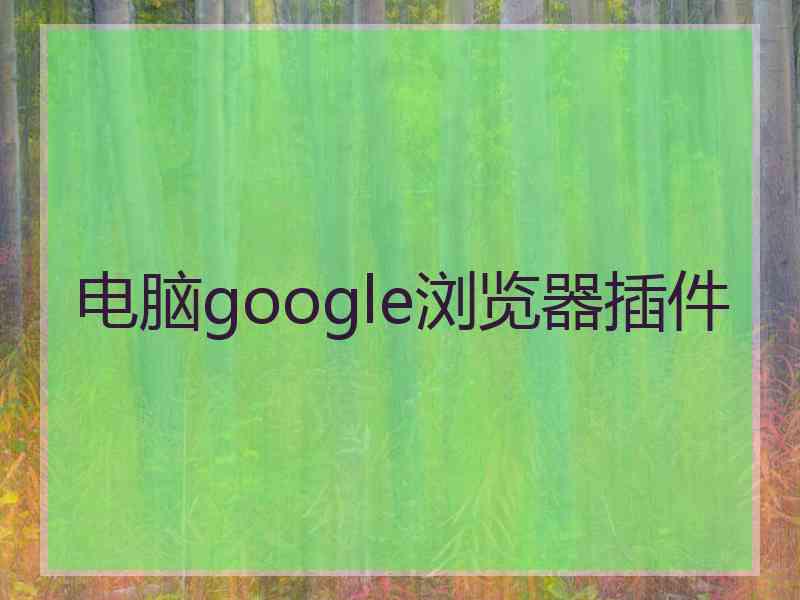 电脑google浏览器插件