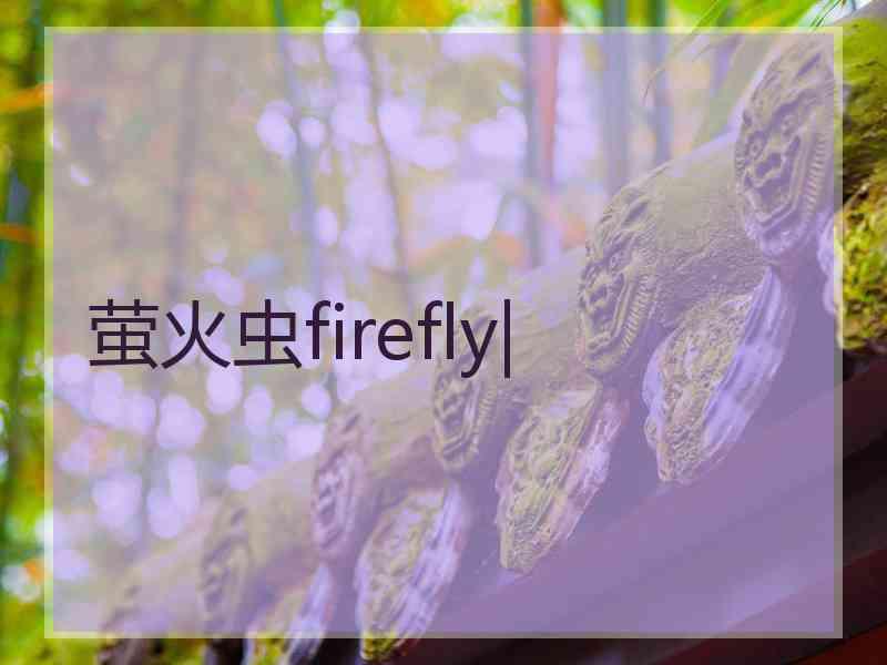 萤火虫firefly|