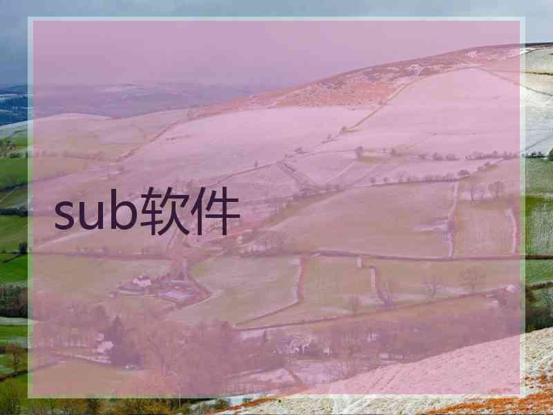 sub软件