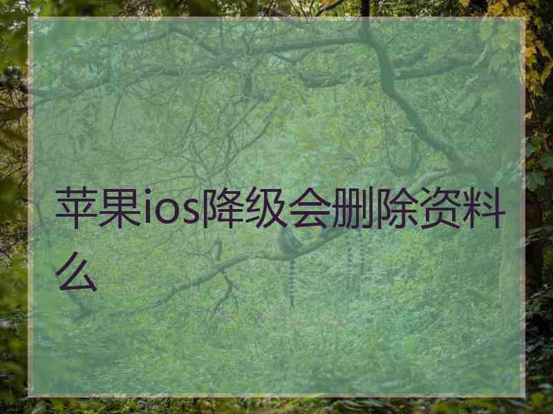 苹果ios降级会删除资料么