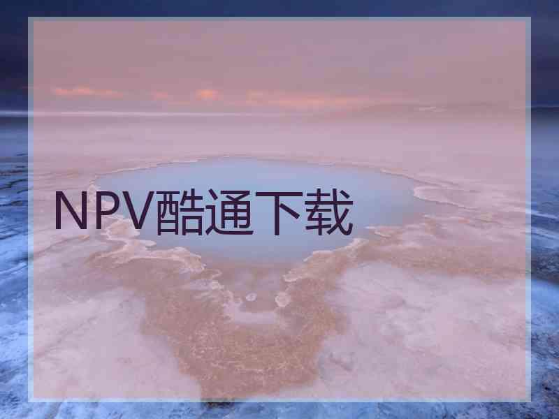 NPV酷通下载