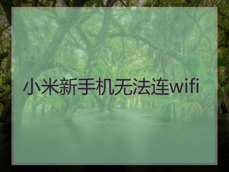 小米新手机无法连wifi