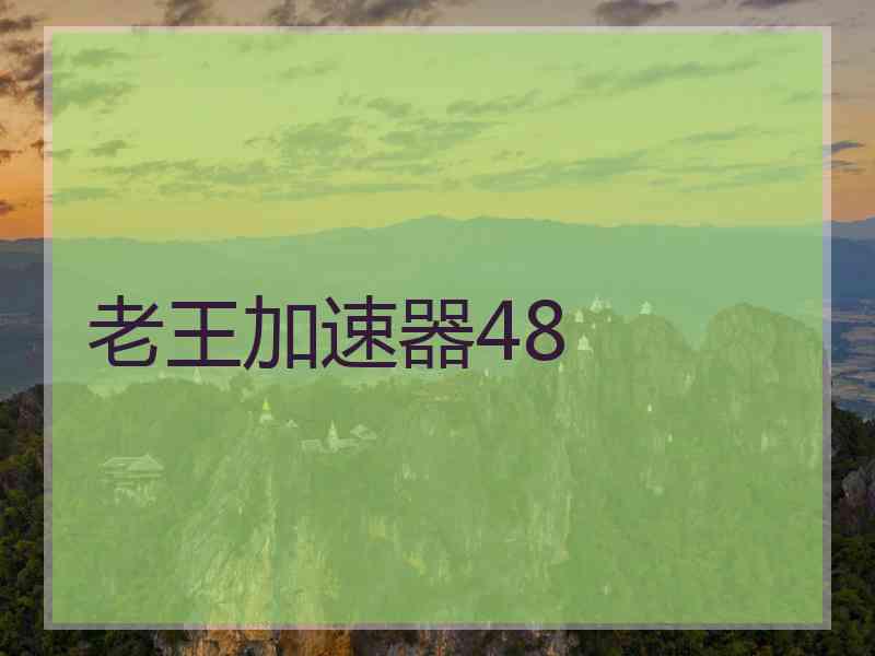 老王加速器48